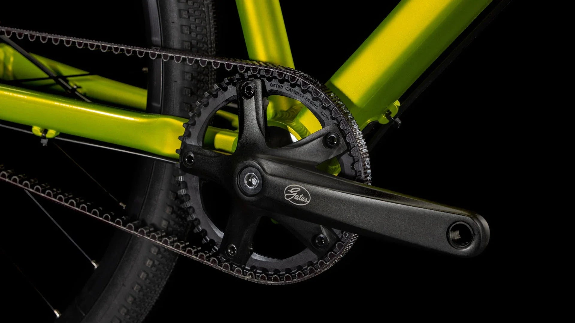 Cube Editor Race lizard'n'black 2025