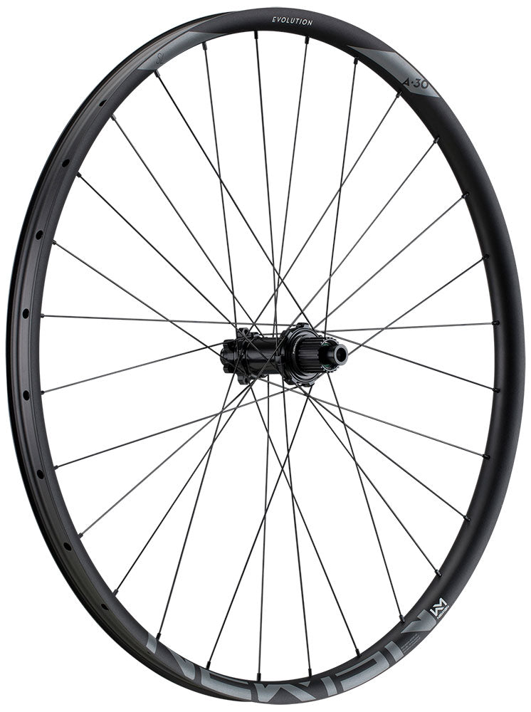 Newmen Wheel Evol. SL E.30 29 12x148 SP 6B 28h MS FADE - Liquid-Life #Wähle Deine Farbe_schwarz
